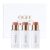 Ogee Face Stick Trio, Golden Contour Stick Makeup Collection, Blush Stick | Certified Organic Bronzer, and Highlighter Stick for a Flawless Look