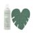 EcoTools Brush Cleaner Mat + Deep Clean Shampoo Bundle, 2 Piece Set | Clean tools fast, makeup brush cleaning mat for brushes and sponges, silicone brush cleaner, plant-based shampoo