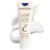 Embryolisse Lait-Crème Concentré Face Moisturizer and Makeup Primer, French Face Cream With Shea Butter & Aloe Vera